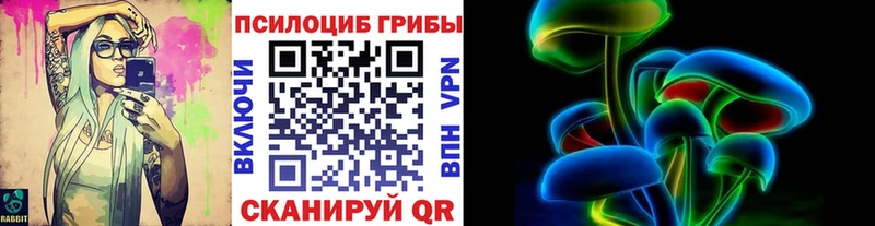 Купить  Зеленокумск  Псилоцибиновые грибы GOLDEN TEACHER 
